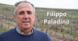 Filippo Paladino