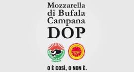 Consorzio di Tutela della Mozzarella di Bufala Campana DOP