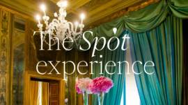The Spot Experience