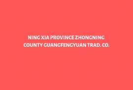NING XIA PROVINCE ZHONGNING COUNTY GUANGFENGYUAN T