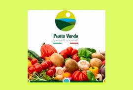 PUNTO VERDE SRL