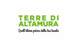 TERRE DI ALTAMURA SRL