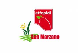 FPD SRL