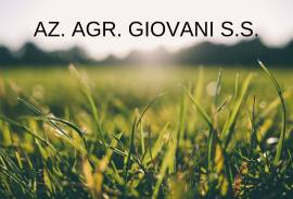 AZ. AGR. GIOVANI S.S.