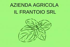 AZIENDA AGRICOLA IL FRANTOIO SRL