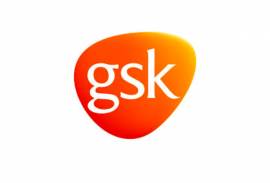 GSK S.p.A. Unipersonale