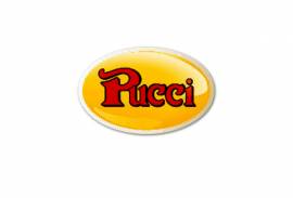 Pucci S.r.l.