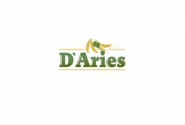 D'ARIES SRL