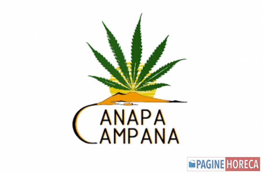 CANAPA CAMPANA SAS