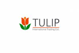 TULIP INTERNATIONAL INC.