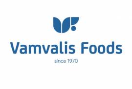 VAMVALIS FOODS