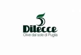 DI LECCE NICOLA SRL