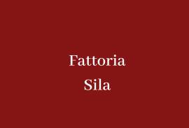 FATTORIA SILA SRL