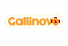 GALLINOVO SRL