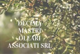 DECIMA MASTRI OLEARI ASSOCIATI SRL