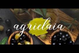 SOCIETA' AGRICOLA AGRIELAIA SRL