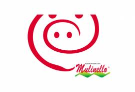 AZIENDA AGRICOLA MULINELLO SRL