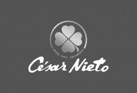 CESAR NIETO GROUP SL