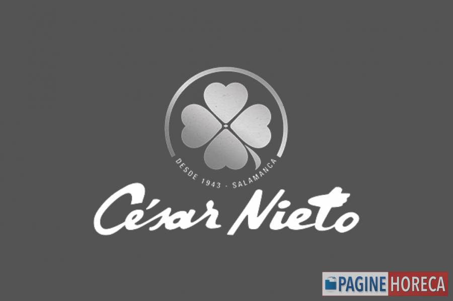 CESAR NIETO GROUP SL