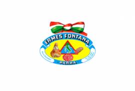 FONTANA ERMES SPA