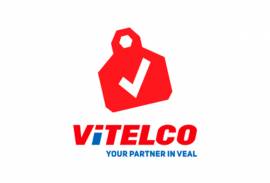 VITELCO BV