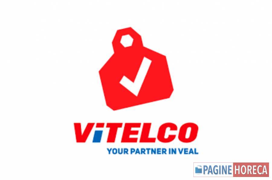 VITELCO BV