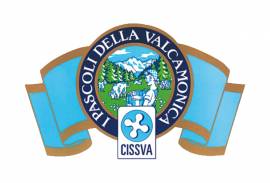CISSVA COMMERCIALE SRL