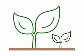 DIBA BIO INNOVATIVE FARM SOC. AGR. a r.l.