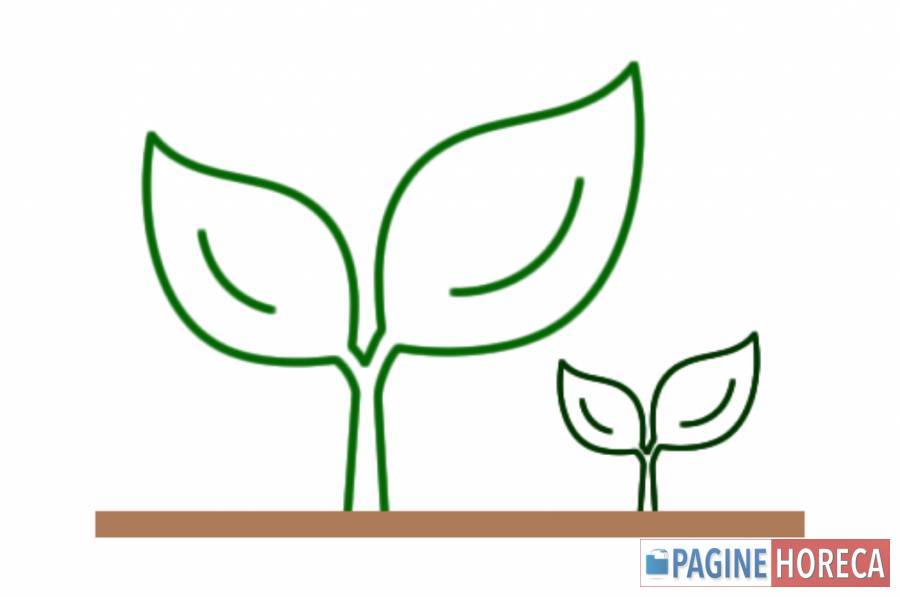DIBA BIO INNOVATIVE FARM SOC. AGR. a r.l.