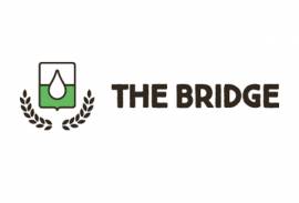 THE BRIDGE SRL