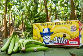 BANANEVITO S.A.