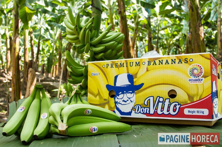 BANANEVITO S.A.