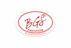 BGS SRL