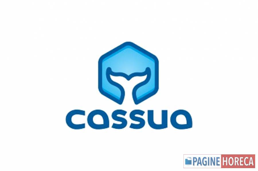 CASSUA SL