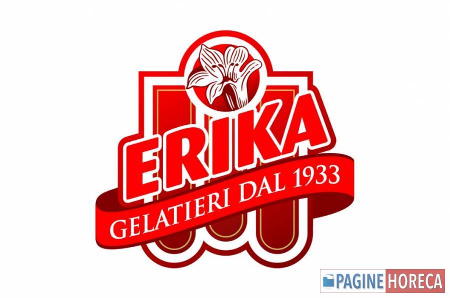 ERIKA EIS SRL
