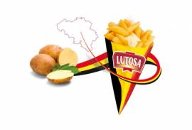 LUTOSA SA