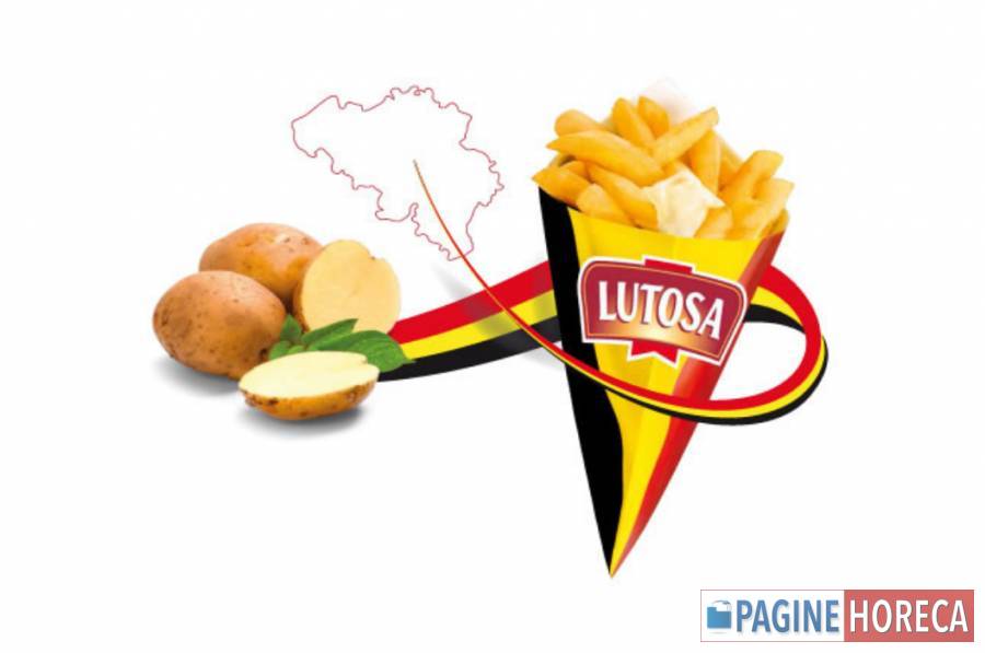 LUTOSA SA