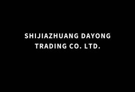 SHIJIAZHUANG DAYONG TRADING CO. LTD.