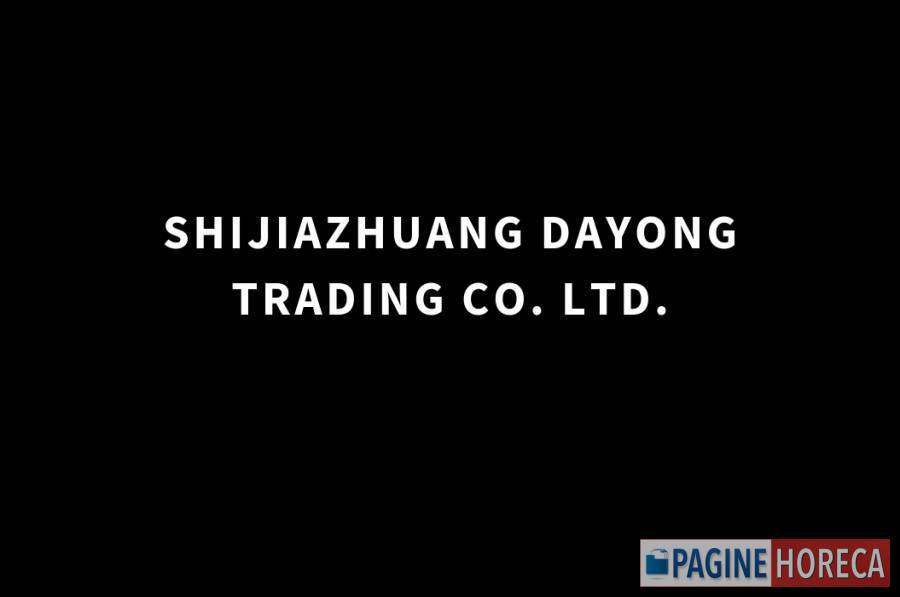 SHIJIAZHUANG DAYONG TRADING CO. LTD.
