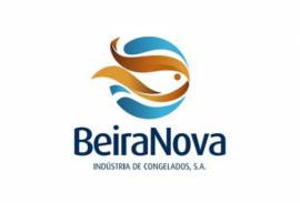 BEIRANOVA - INDUSTRIA CONGELADOS, SA