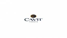 CAVIT Sc
