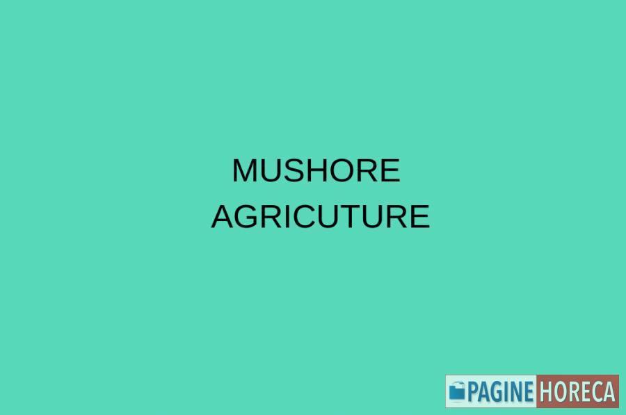 MUSHORE AGRICUTURE