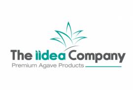 THE IIDEA COMPANY