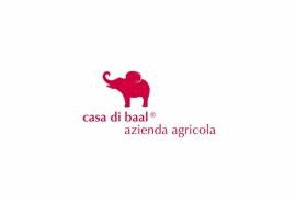 CASA DI BAAL