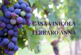 CASA VINICOLA FERRARO ANNA