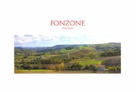 FONZONE