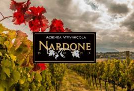 NARDONE NARDONE DOMENICO AZIENDA VITIVINICOLA