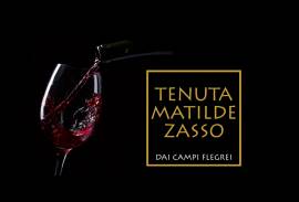 TENUTA MATILDE ZASSO AZIENDA AGRICOLA S.r.l.