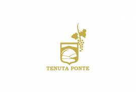 TENUTA PONTE S.r.l. AZIENDA VITIVINICOLA