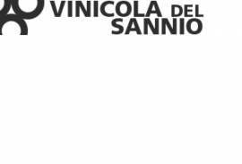 VINICOLA DEL SANNIO S.r.l.